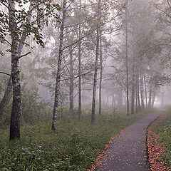 фото "Аллея в туманную осень"