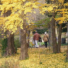 фото "Autumn"