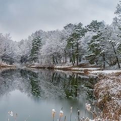 фото "Первый снег 2..."