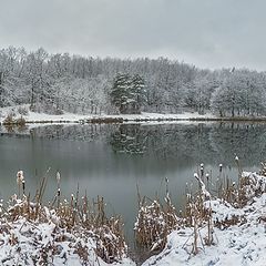фото "Про озеро и первый снег..."