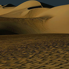 photo "Dunes 38"
