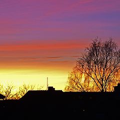 photo "Evening Colors"