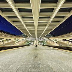 photo "Liège-Guillemins"