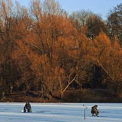 photo "Last "fire" Autumn"