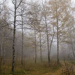 фото "Унылая пора"