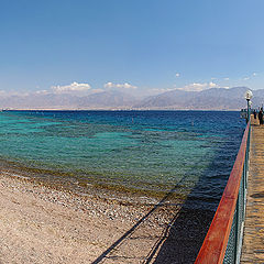 photo "Underwater Observatory"