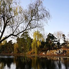 фото "WINTER  IN TSINGHUA UNIVERSITY"