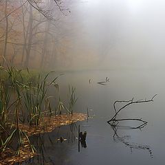фотоальбом "Armenia"