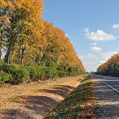 фото "дорога на Козельск"