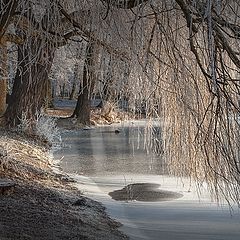 фото "декабрьская сказка"