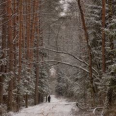 фото "Зимняя дорога"