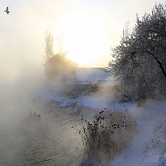 фото "Утро"