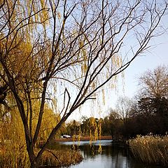 фото "tsinghua"