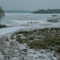 фото "Сны до начала весны..."