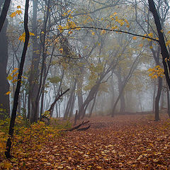 фото "Осень..."