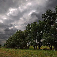 фото "Перед дождём"