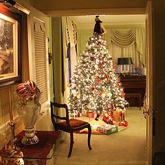 photo "Home For Christmas"