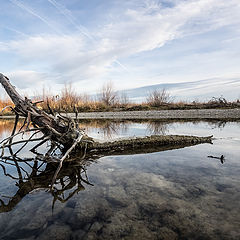 фото "Isar"