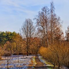 фото "Тропинка ноября"