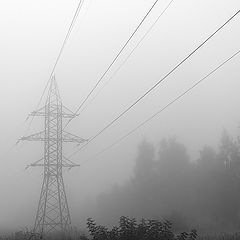 фото "Туман, укравший провода"