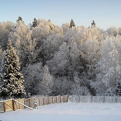 фото "За околицей"