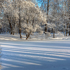 photo "Shadows"