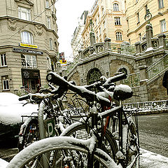 photo "Winter in Vienna ..."