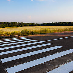 photo "Pedestrian crossings among the fields"