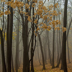 фото "Осень..."