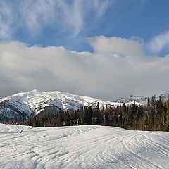 фото "В горах Адыгеи."