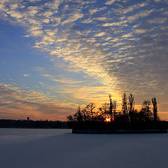 photo "Sunset in January"