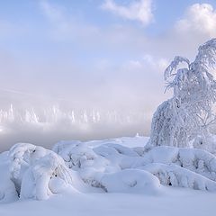 фото "Зимний этюд"