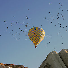 photo "The morning flight"