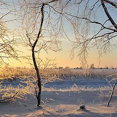 фото "Поутру"