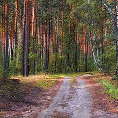 фото "Лесная"