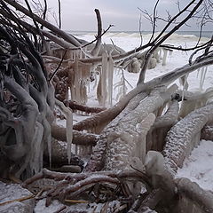 photo "Beach froze"