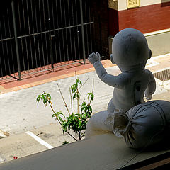 photo "Hello there ..."