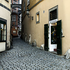 photo "The streets of Vienna ..."