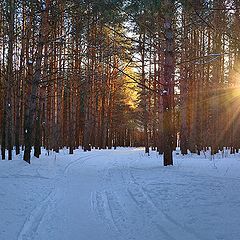 фото "В январе"