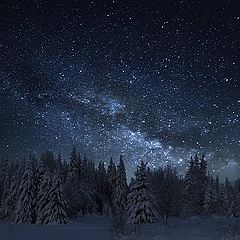 фото "зимняя ночь"