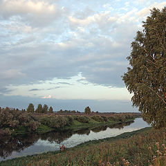 фото "Речка с кувшинками"