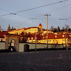 фото "Утро"