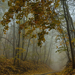 фото "Осень..."