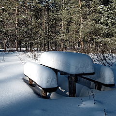 фото "Зимний сон"