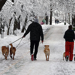 photo "Walking"