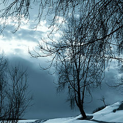 photo "winter"