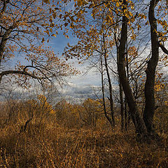 фото "Осень..."