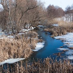 фото "Погожий зимний день"