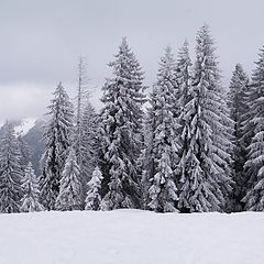 фото "Исход"