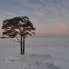 фото "Белое море( -30)"